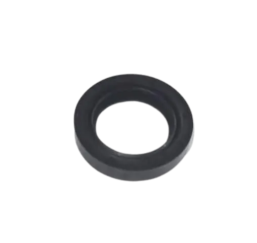 Oil Seal - 0666 2263 00 M	